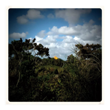 Limited edition art photo. Numbered, dated and signed by the photographer
