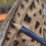 Sculptural ceramic vase (43 cm) marius bessone vallauris (1955-19