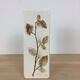 Vase Raymonde Leduc herbarium, ceramics