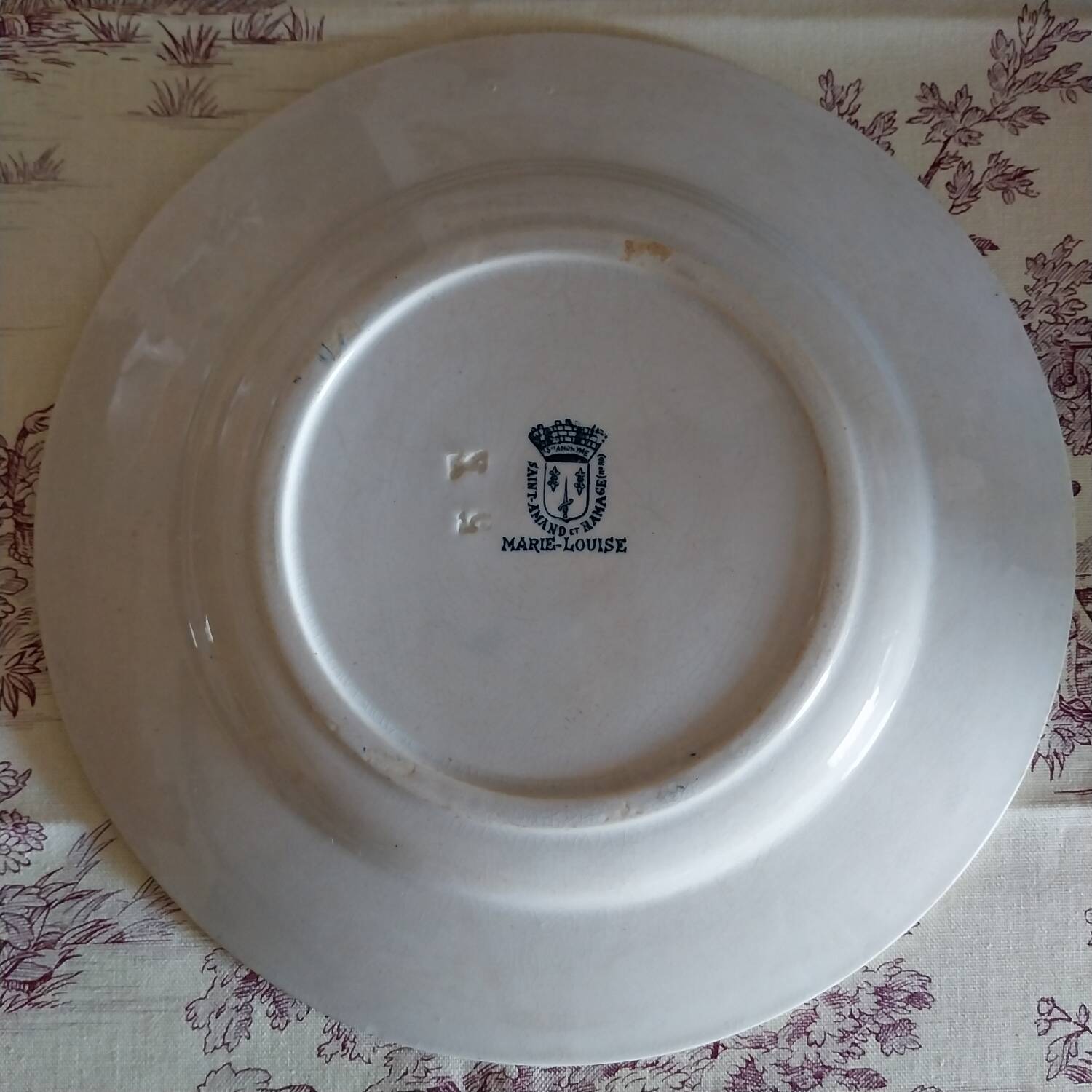 Ironstone plate St Amand & Hamage