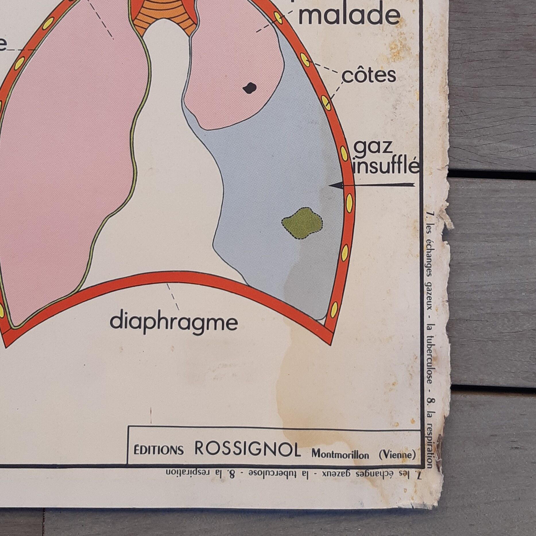 Rossignol educational poster