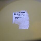 Hollow plates in the shape of luminarc flowers