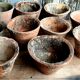 Lot de pots à résine des Landes