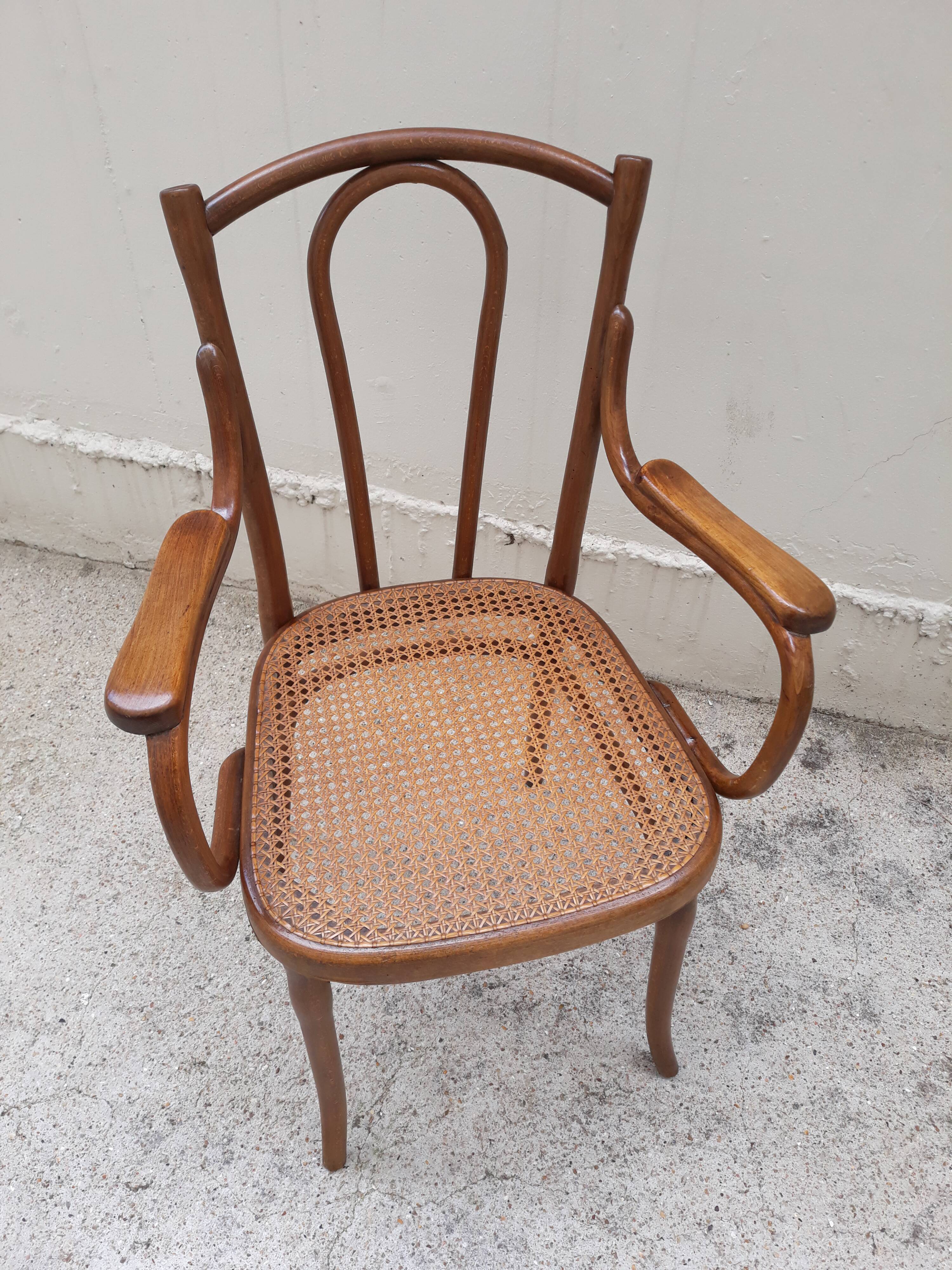Armchair nr11 in curved wood signed Thonet