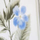 1960s vintage violets flowers chart poster