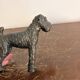 Antique Sculpture Airedale Terrier Welsh Regule Art Deco 1930