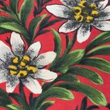 Lafuma vintage camping chairs