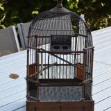 Old bird cage