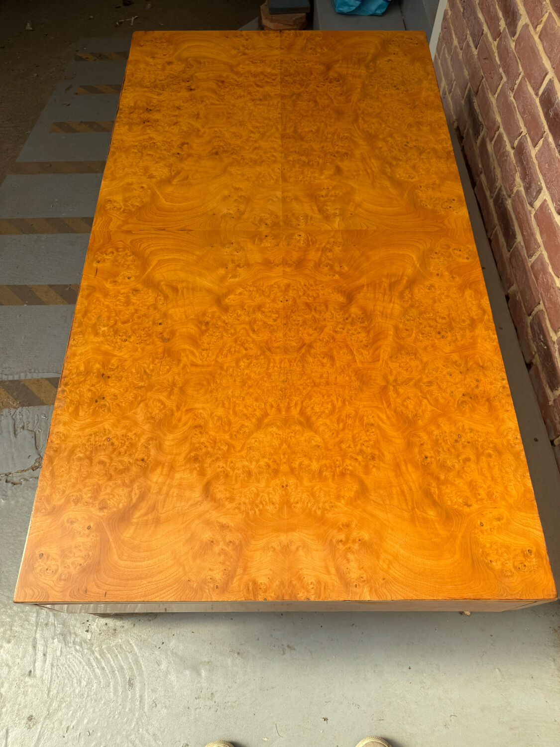 Elm burl coffee table