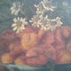 Tableau huile sur toile ancien nature morte aux abricots et pêches  . 19 ème