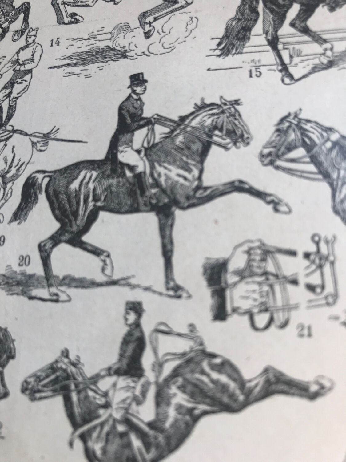 Original vintage riding board