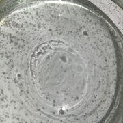 Vacuum pocket blown glass bubbled glassware Bendor