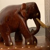 Pair of greenhouses books elephants in teak, 1970