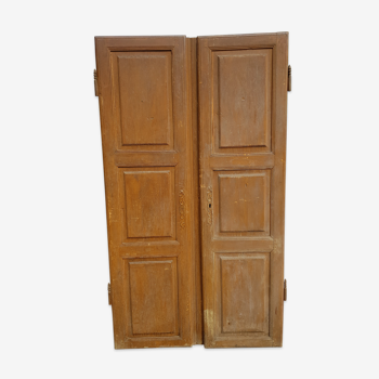 Pair of door in 19th century fir