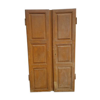 Pair of door in 19th century fir
