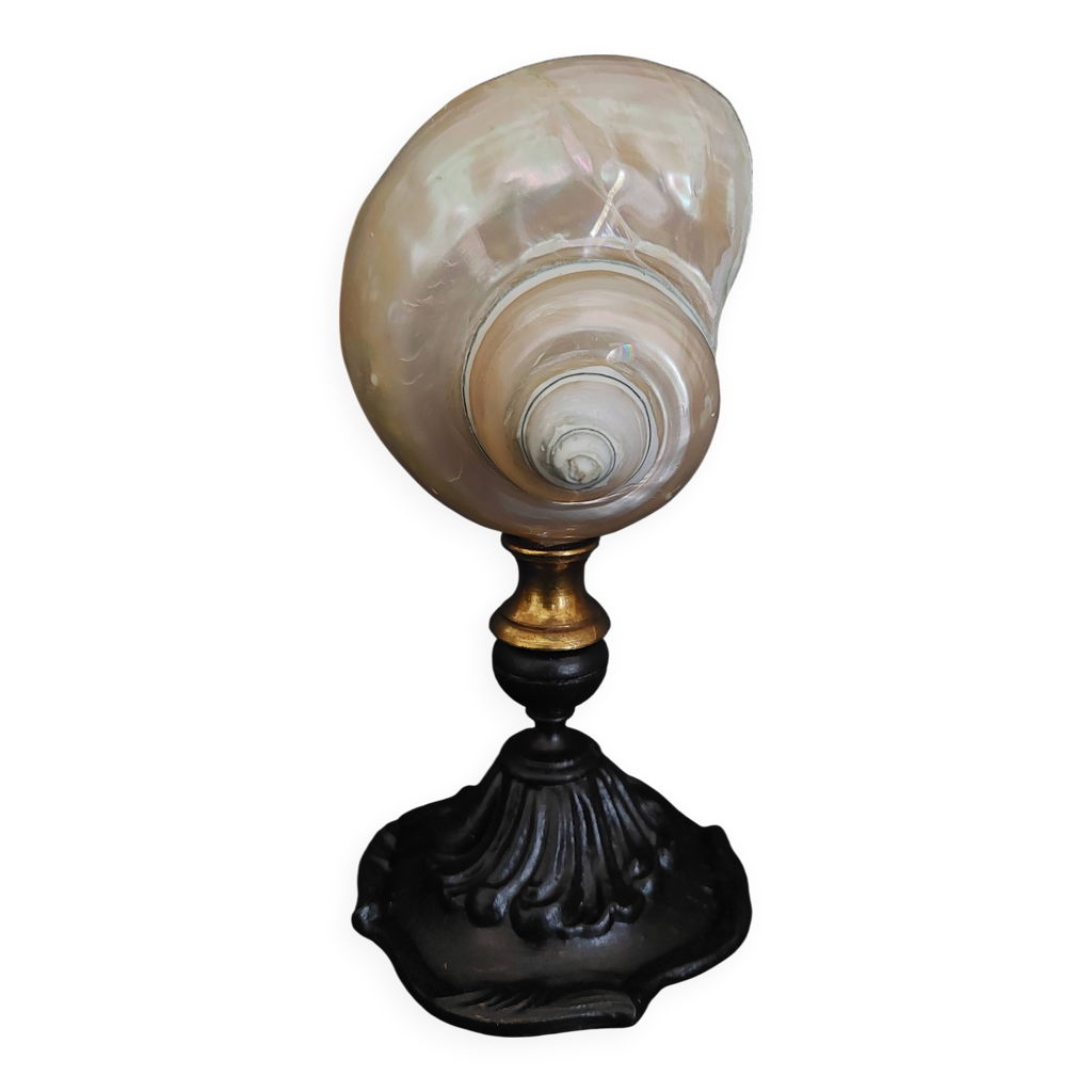 Cabinet de Curiosités globe aux coquillages guildfordia yoka