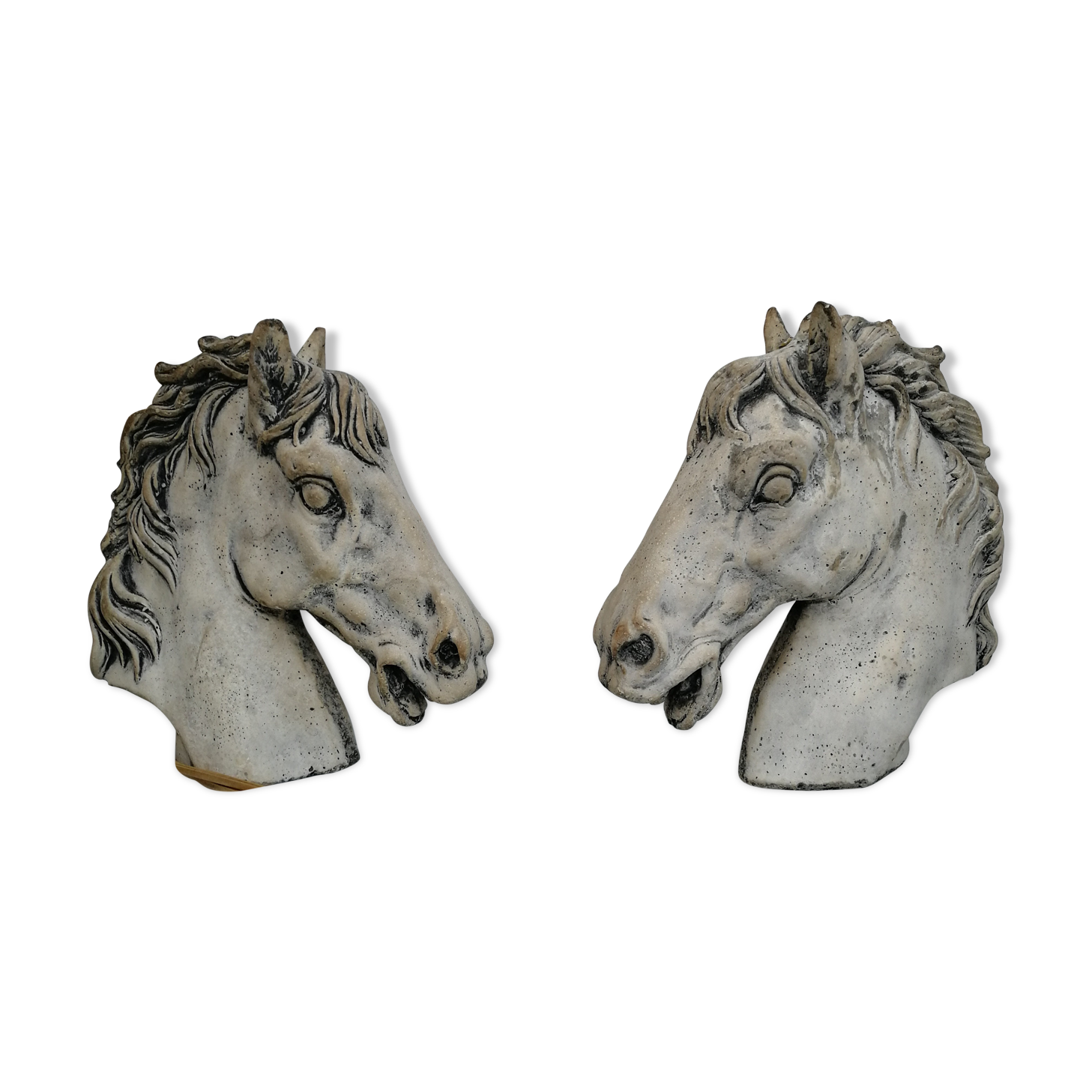 Horse heads
