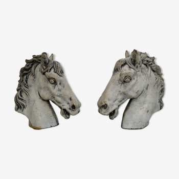 Horse heads