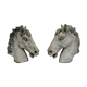 Horse heads