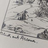 Antique print - Pine, sea and cliff - Lithograph from 1902