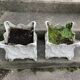 Pair of cast iron planters. Alfred Corneau Charleville around 1900