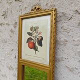 Petit miroir Trumeau ancien