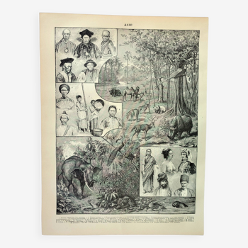 Gravure ancienne 1898, Asie : tribu, faune et flore • Lithographie, Planche originale