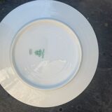 6 plates in limoges porcelain pattern old floral frieze