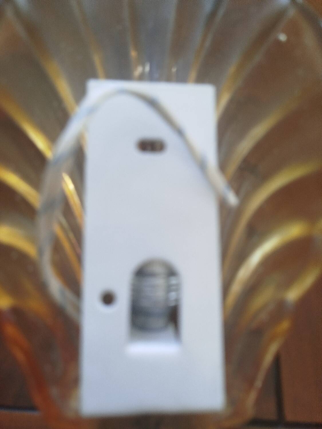 Pair of shell wall sconces – striped Italian glass – 1970