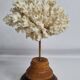 Antique ornamental coral Acropora on solid wood base, 18 cm