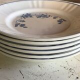 Set of 6 flowered dessert plates