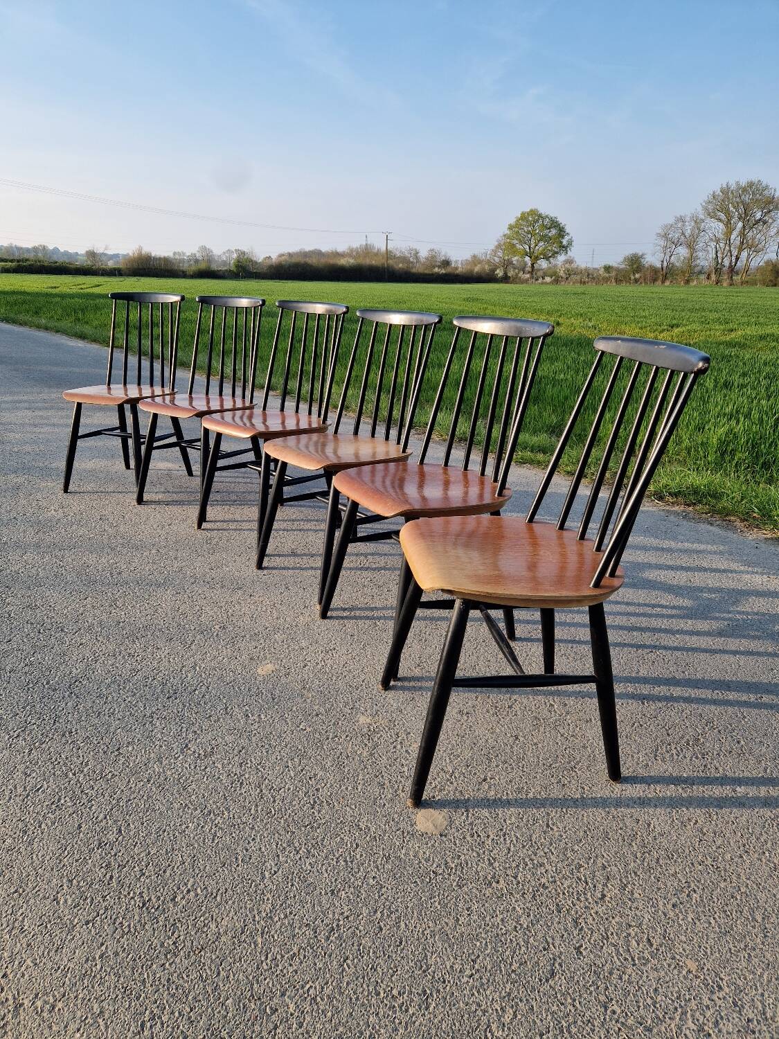 Set of 6 Fannett Scandinavian chairs by Ilmari Tapiovaara 1960.
