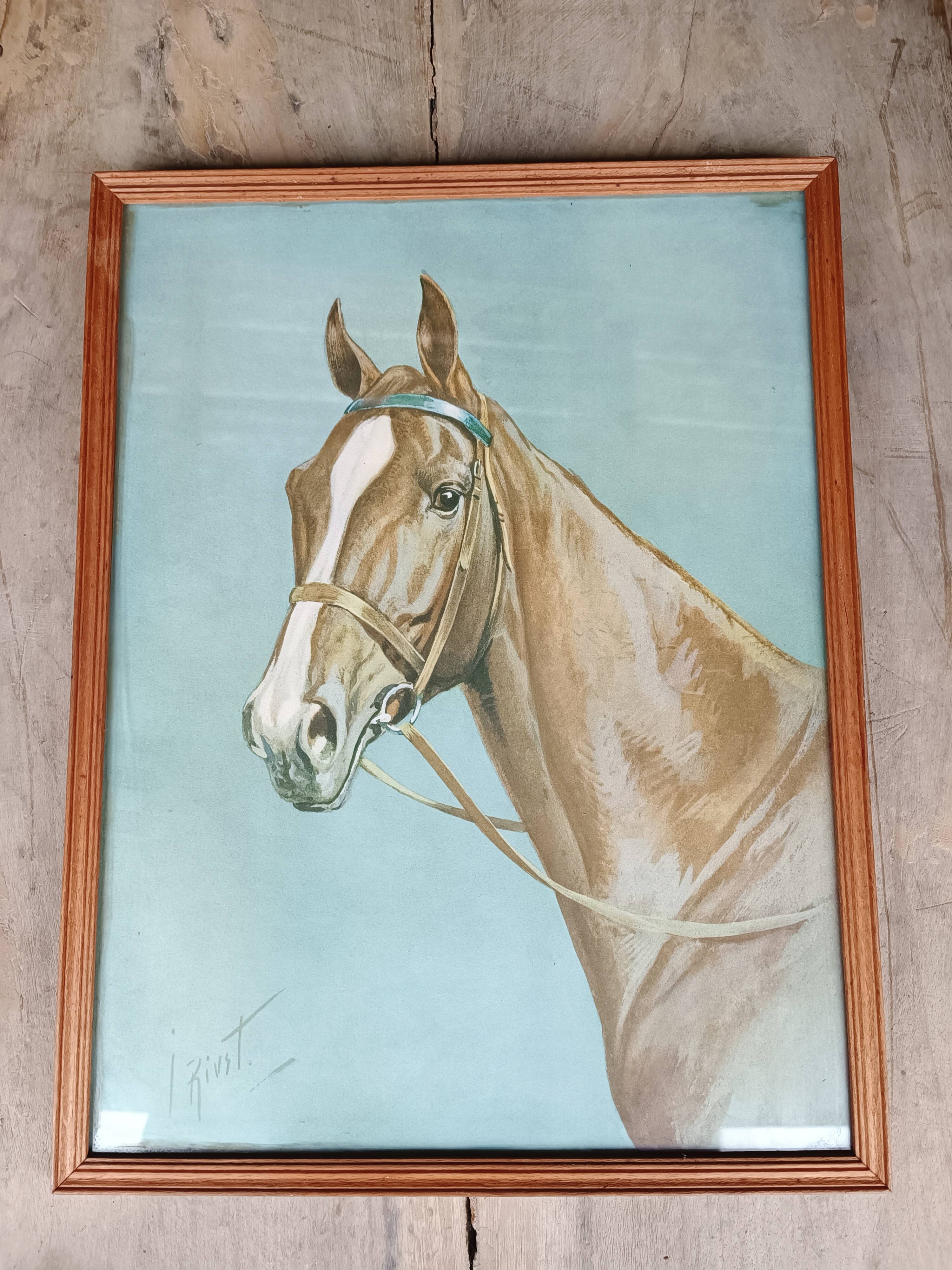 Lithographie cheval J.Rivet