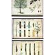Vintage School Botanical Posters, 1950s, Set of 3