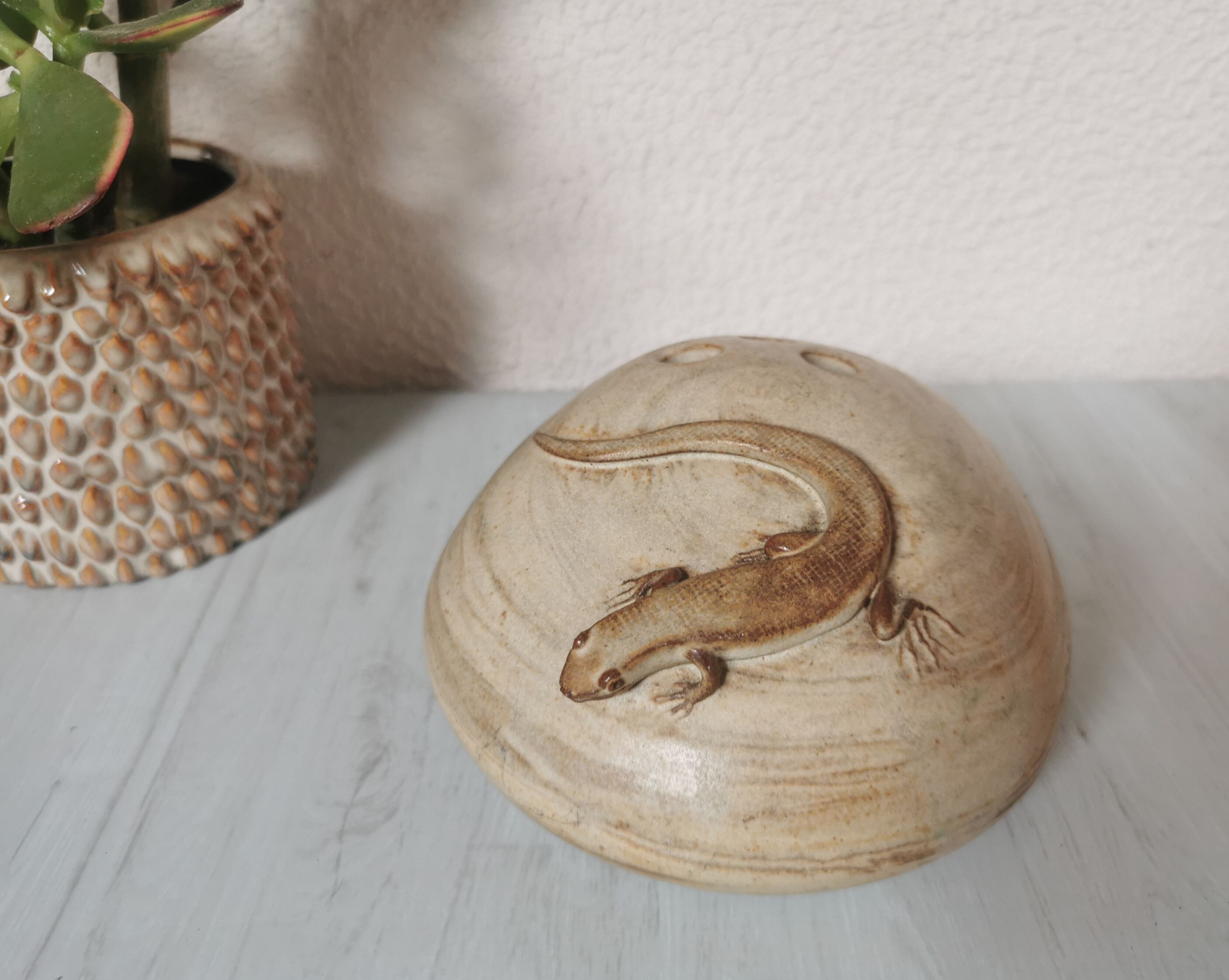 Pique flowers sandstone lizard