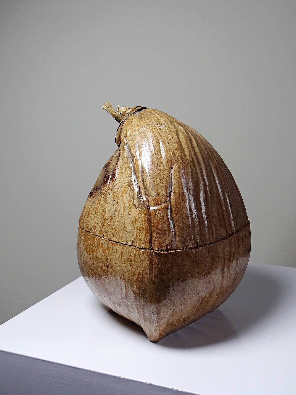 Curiosity vintage box from the 50s-60s, naturalised coconut ice bucket.