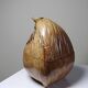 Curiosity vintage box from the 50s-60s, naturalised coconut ice bucket.