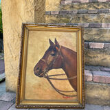Portrait of a horse