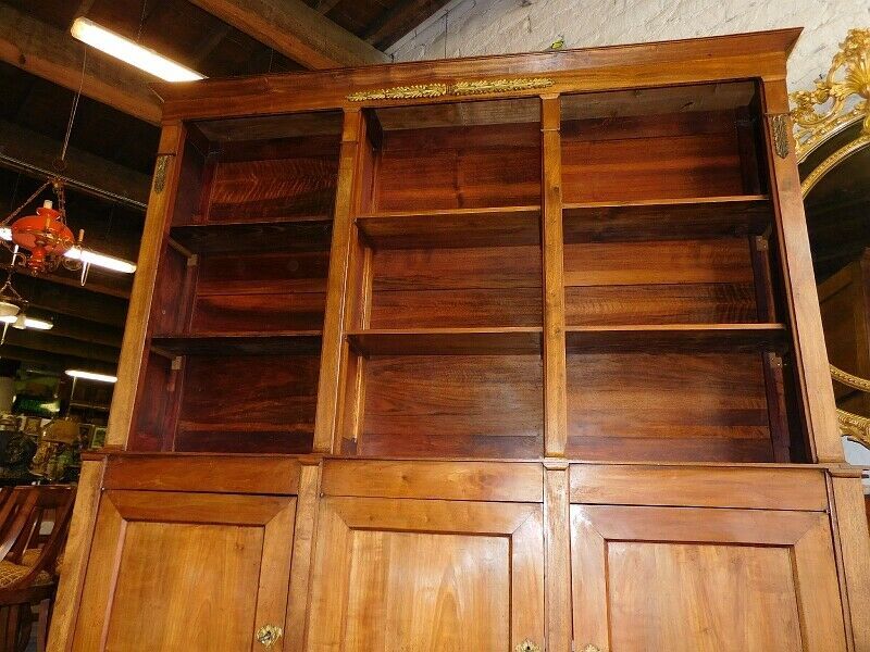 Large bibliothic 3 low-door walnut
