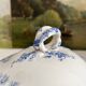 Antique ironstone tureen “Flora Lichen” Creil and Montereau