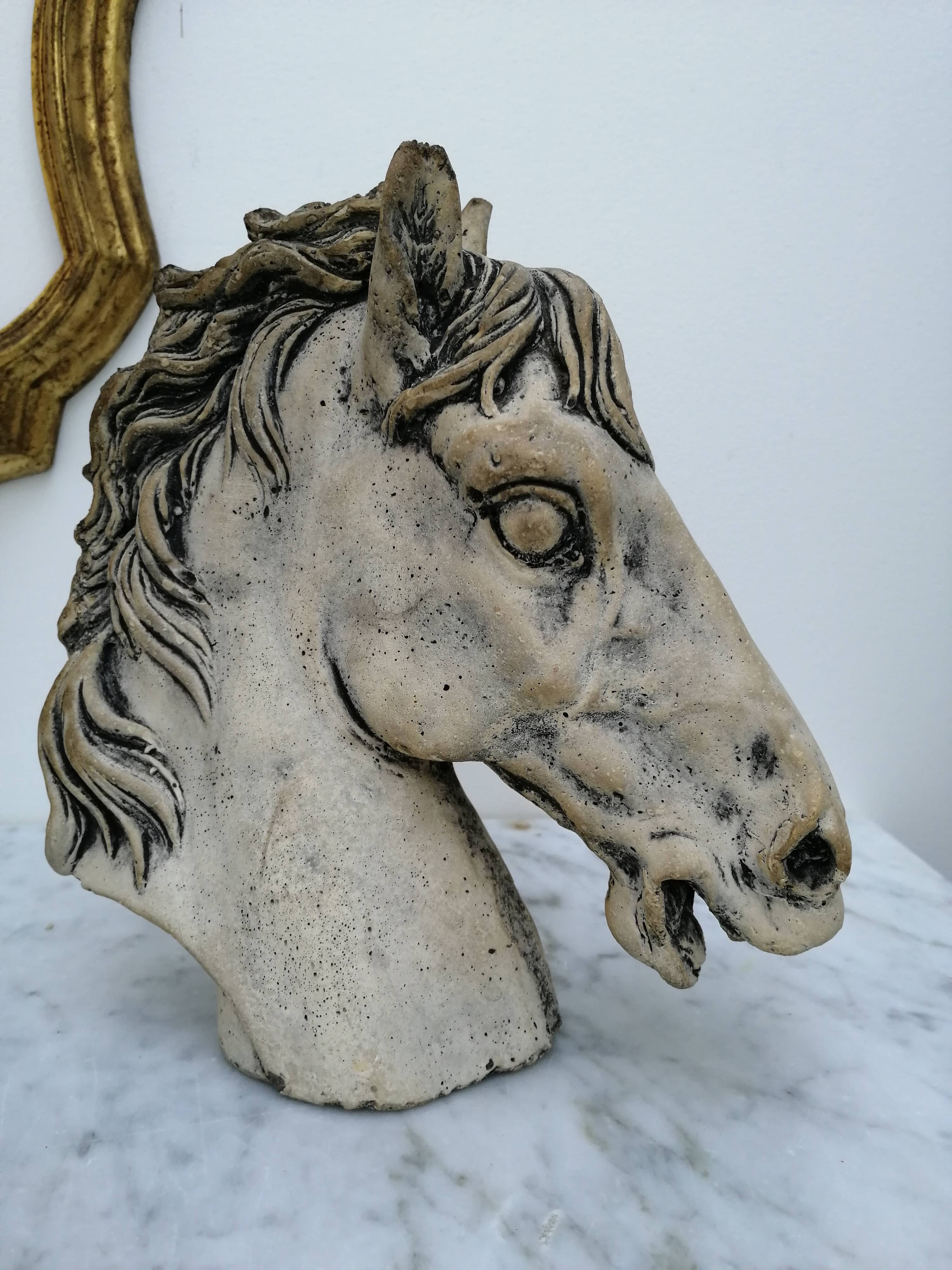 Horse heads