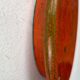 "Mid-Century Modern Danish Studio Pottery Orange Wall Hanger from Signe Boesen Northroup, 1960s"