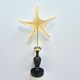 Starfish on a turned wooden base, late 19th century - cabinet of curiosities