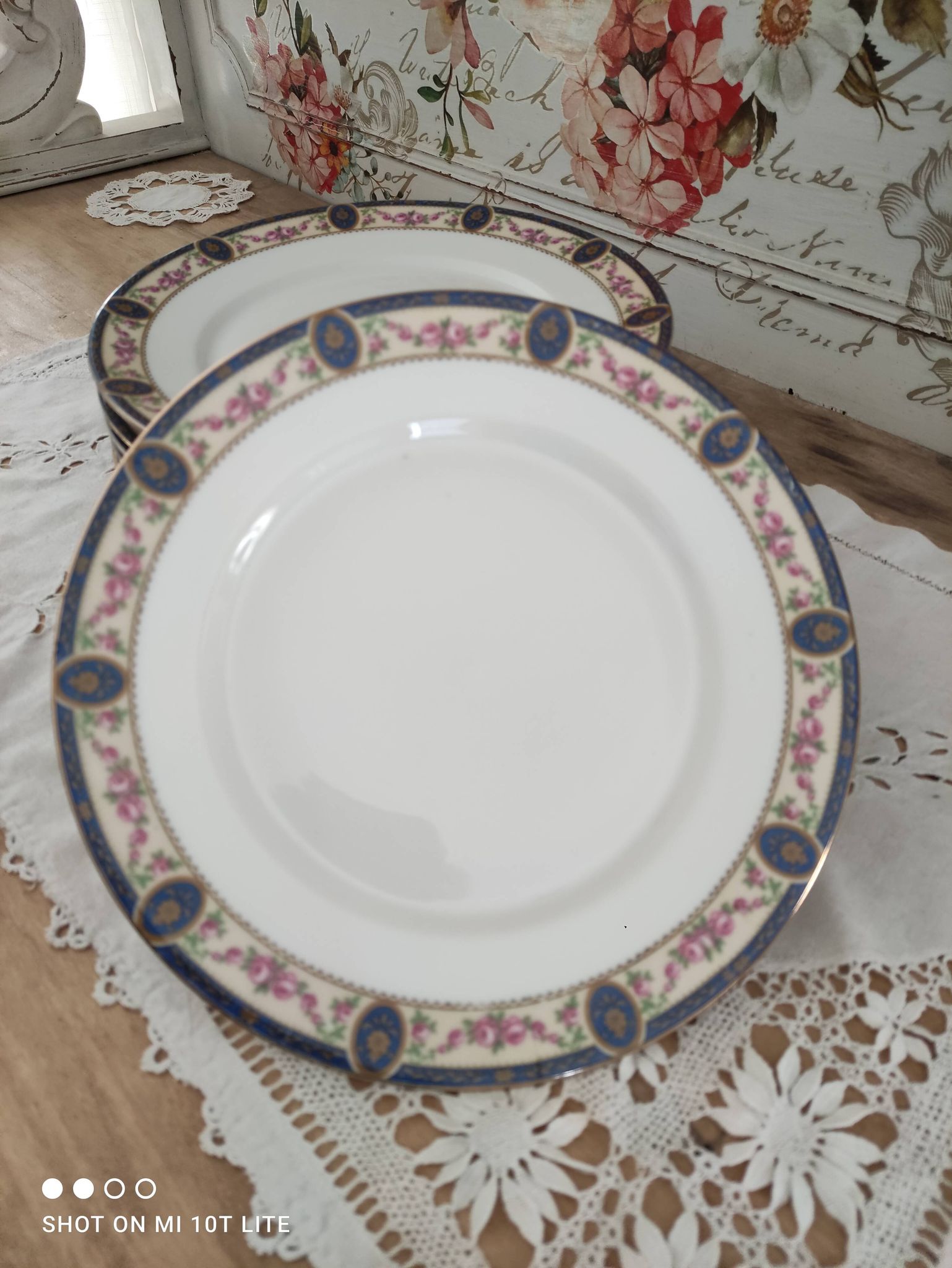 Set of 10 flat plates in Limoges porcelain stamp RN frieze blue old pinks