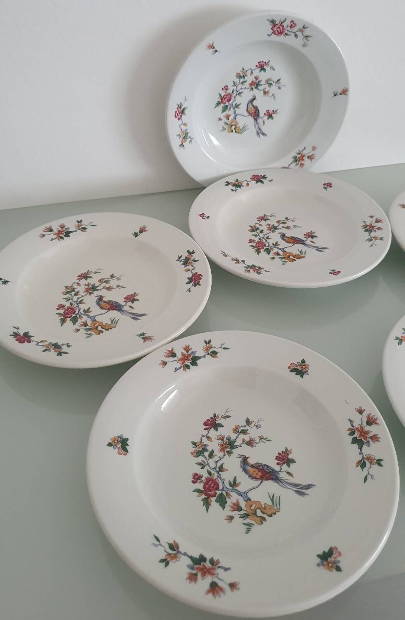 Set of 6 "Bird of Paradise" soup plates from Sarreguemines