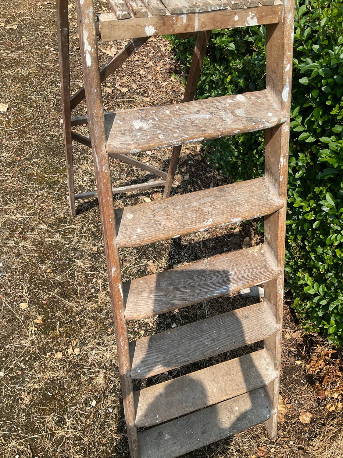 Ancien Escabeau de peintre en chêne