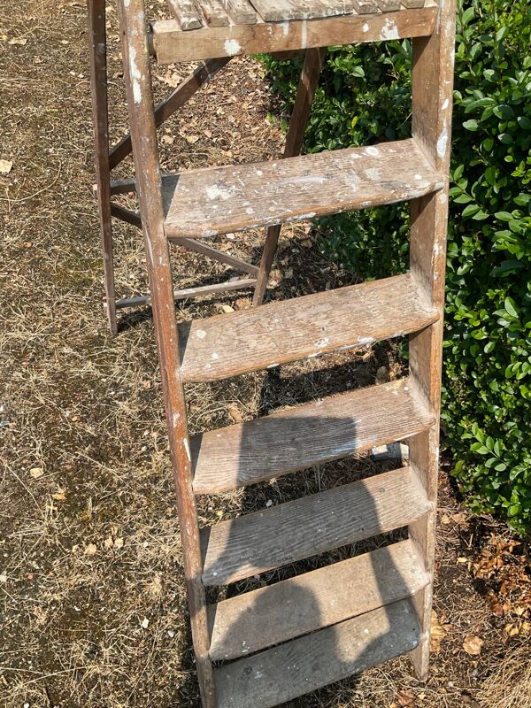 Ancien Escabeau de peintre en chêne