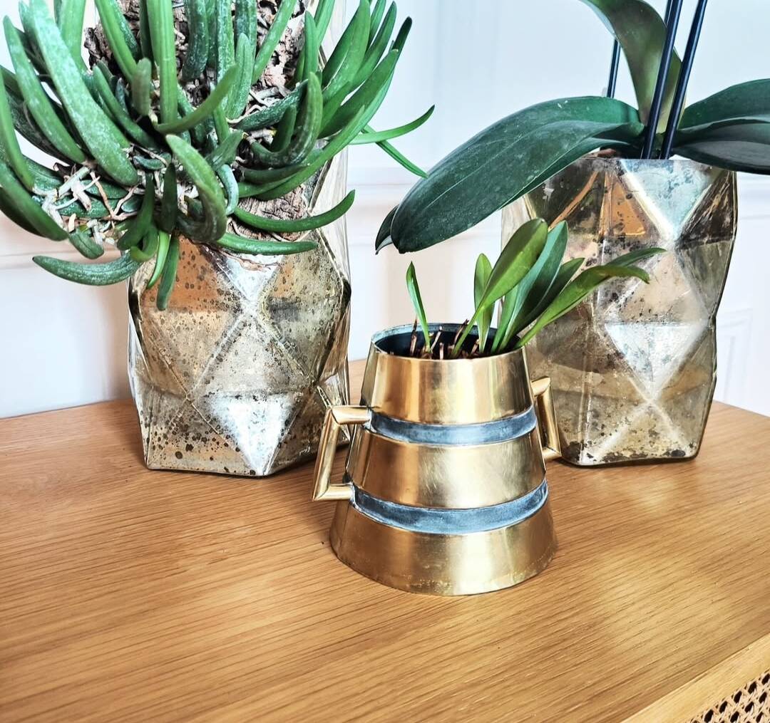 Plant pot