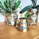 Plant pot