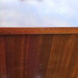 English Mahogany Archive Furniture with 12 Drawers